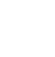 宮廟與特殊需求
